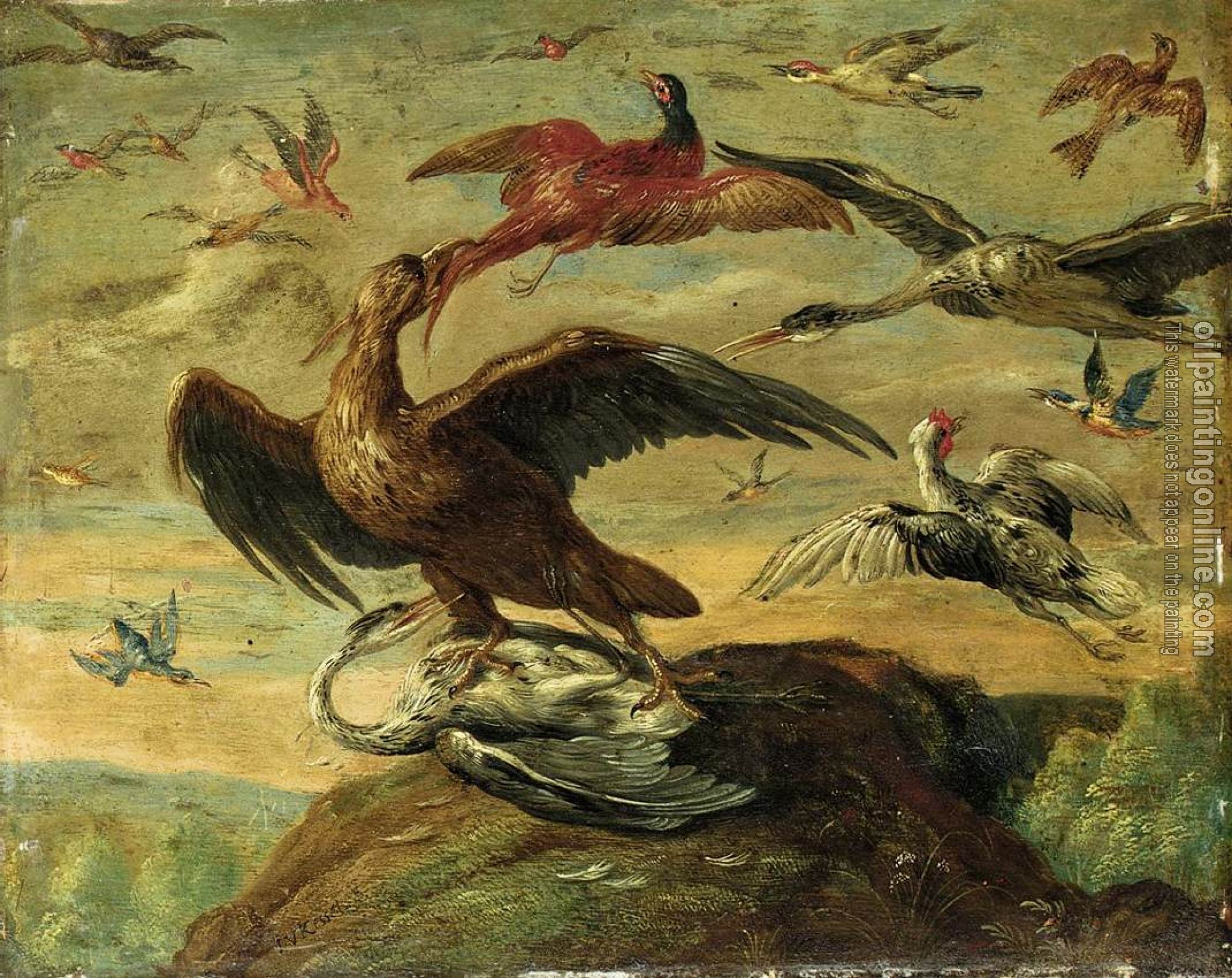 Kessel, Jan van - birds